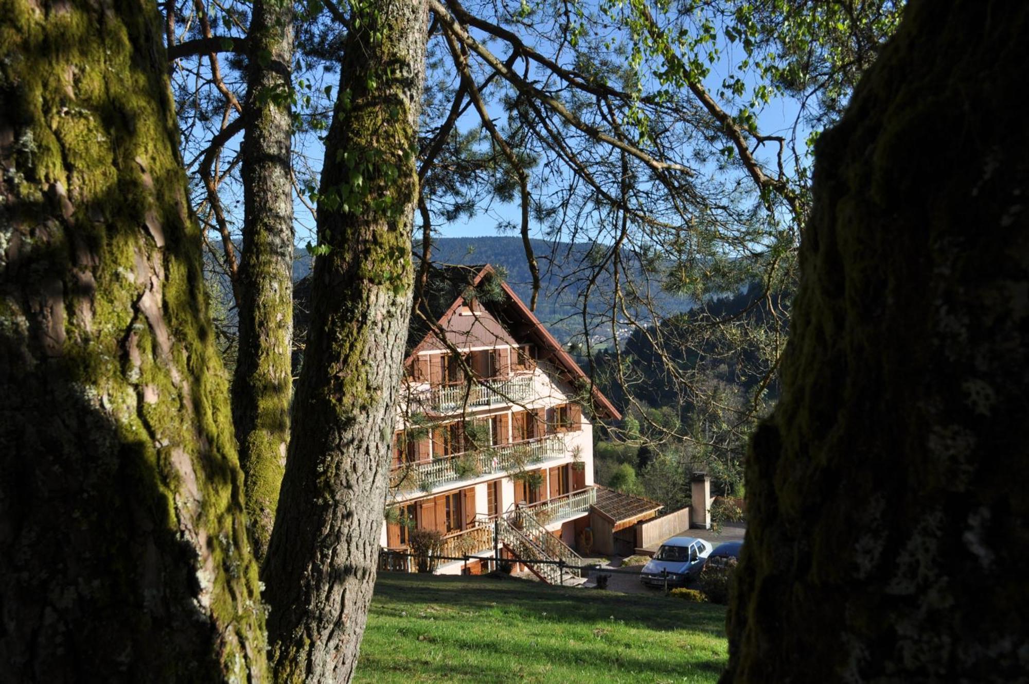 A L'Oree Du Bois Dommartin-lès-Remiremont Buitenkant foto